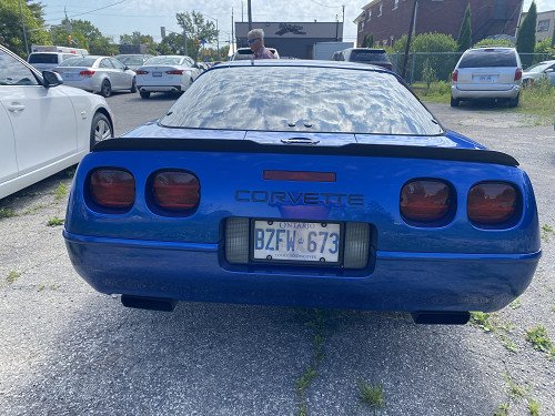 1995 CHEVROLET Corvette Coupe image #1,165